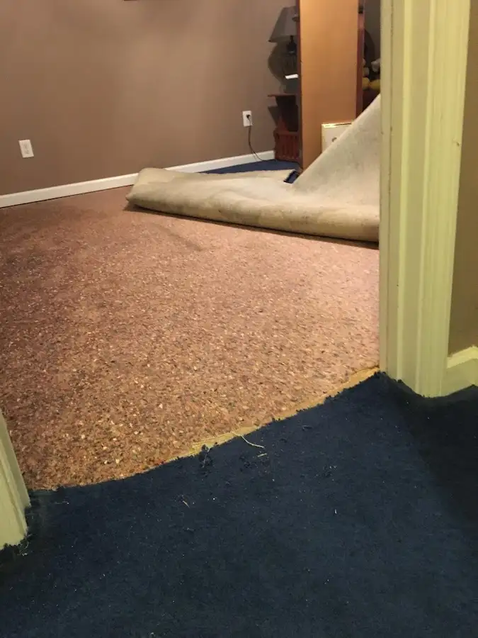 Carpet pad removal revealing water damage during Water Mitigation Services in Pepper Pike